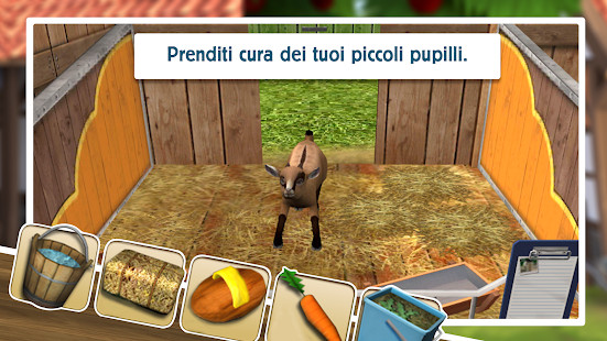 Pet World - Amici da salvare