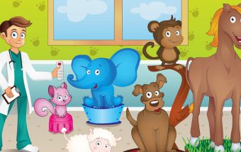 Dottor Cem Animal Hospital