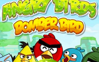 Angry Birds Bomber Bird