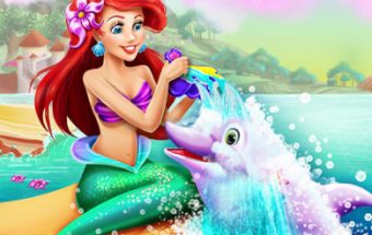 Ariel Dolphin Wash