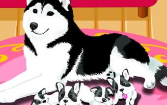 Puppy Gives Birth