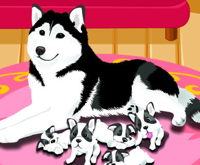Puppy Gives Birth