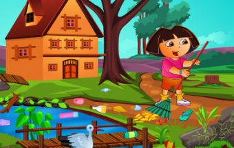 Dora Outdoor Cleaning