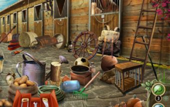 Country Horse Farm
