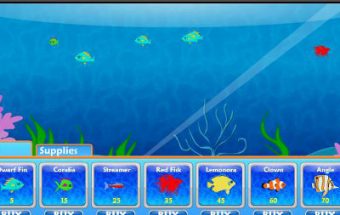 Fish Fun