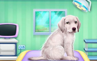 Labrador da Curare