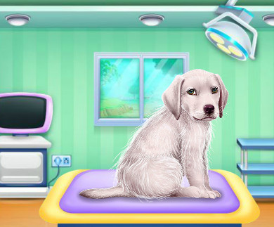 Labrador da Curare
