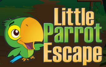 Little Parrot Escape