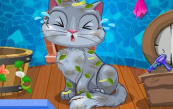 My Cute Cat Makeover