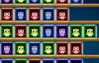 Owls Relocation