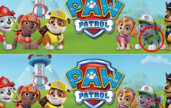 Paw Patrol Differenze