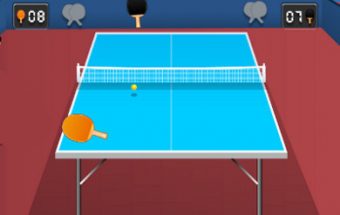 Ping Pong Fun
