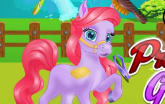 Pretty Pony Grooming