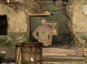 Professional Assassin