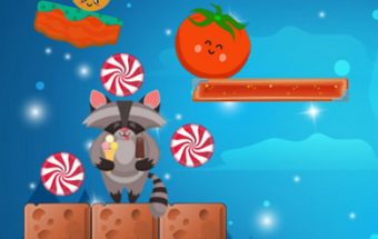 Raccoon Sweet Rush
