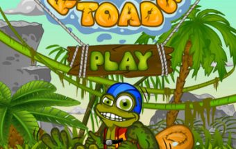 Rafter Toad