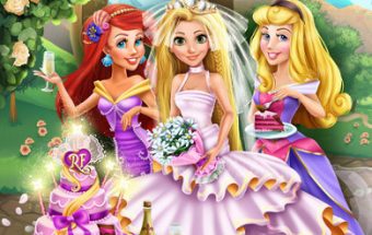 Rapunzel Wedding Party