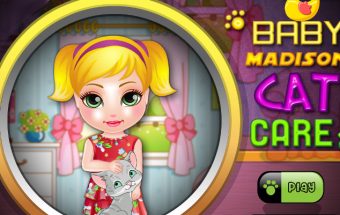 Baby Madison Cat Care