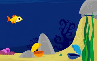 Fifish