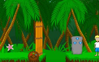 Jungle Fun
