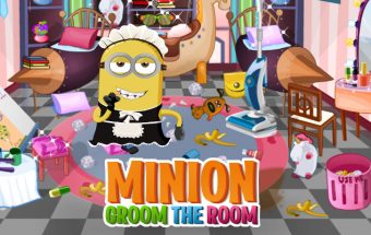 Minion Groom the Room
