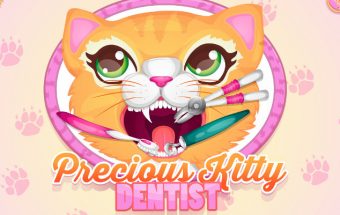 Precious Kitty Dentist
