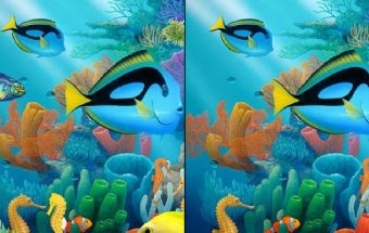 Underwater See the Difference