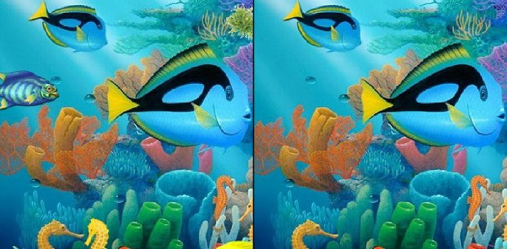 Underwater See the Difference