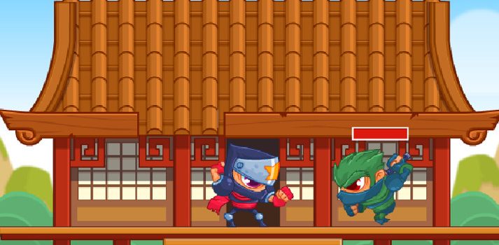 Zippy Ninja
