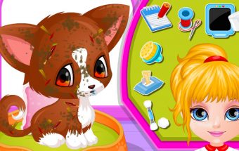 Baby Barbie Injured Pet