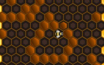Bee Hunt