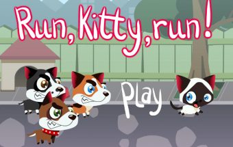 Run Kitty Run