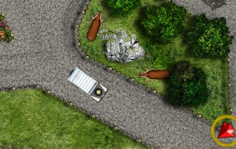 Zoo Parking