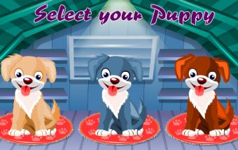 Cute Puppy Care