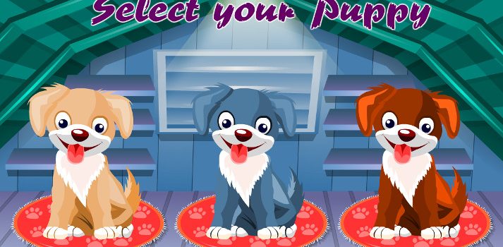 Cute Puppy Care