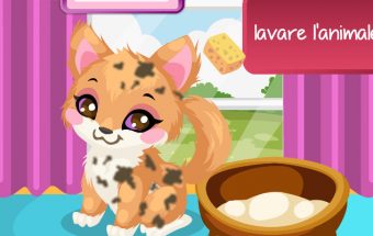 Kitty Care 2
