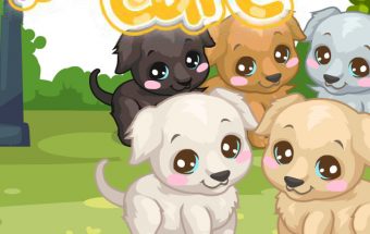 Labrador Care