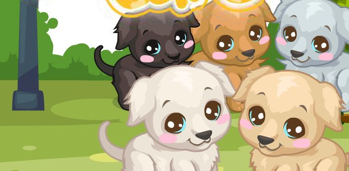 Labrador Care