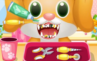 Pet Dentist & Doctor