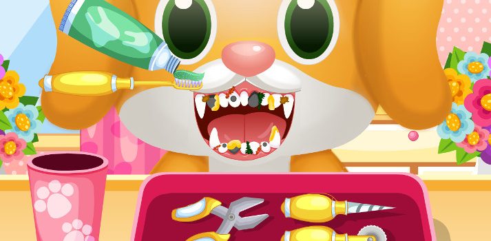 Pet Dentist & Doctor