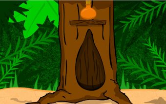 Secret Seekers Lost Forest