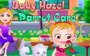 Baby Hazel Parrot Care