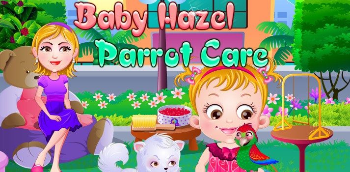 Baby Hazel Parrot Care