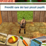 Pet World – Amici da salvare
