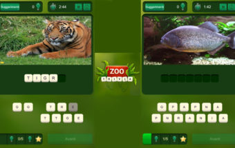 Zoo Trivia