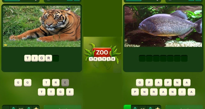 Zoo Trivia