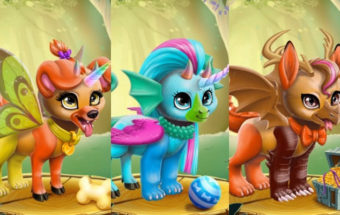 Magical Pet Maker