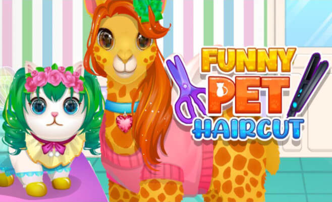 Funny Pet Haircut