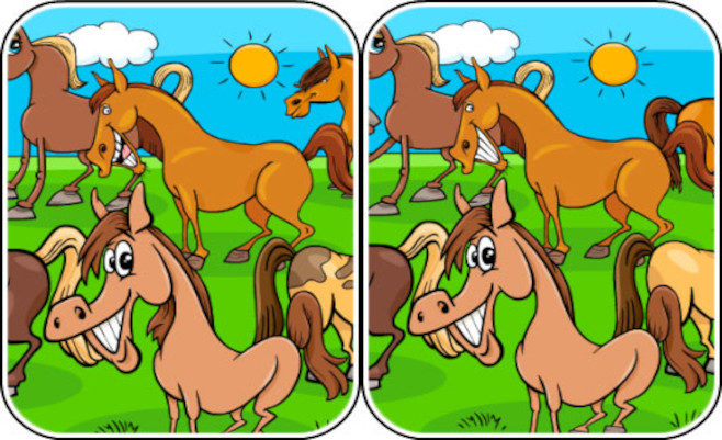 Animals Differences
